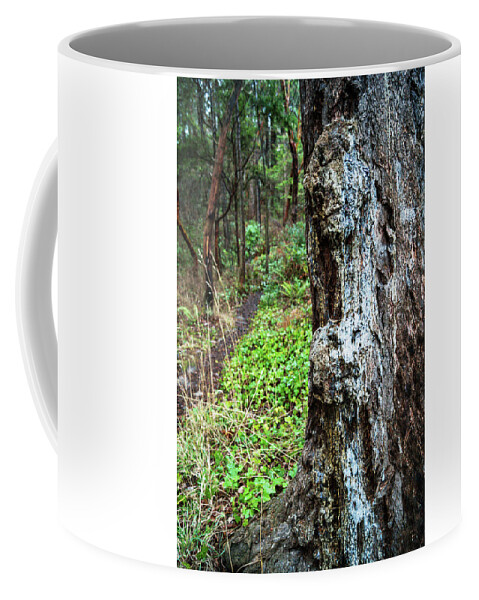 Tree Coffee Mug featuring the photograph Tree Feelings -6763 by Tim Dussault