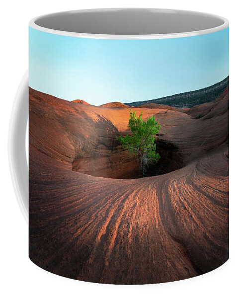 Utah Coffee Mug featuring the photograph Tree in Desert Pothole by James Udall