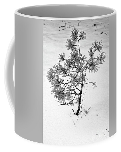 Tree Coffee Mug featuring the photograph Tree in Winter by Martyn Arnold