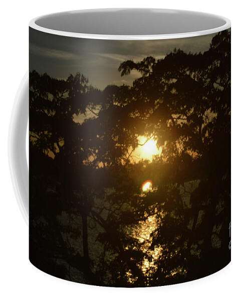 Aicy Coffee Mug featuring the photograph Tree Lake and Sunset by Aicy Karbstein