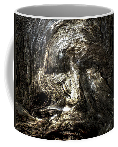 Trees Coffee Mug featuring the photograph Tree Memories # 11 by Ed Hall
