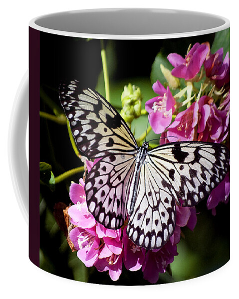 Wildlife Coffee Mug featuring the photograph Tree Nymph Butterfly by Kenneth Albin