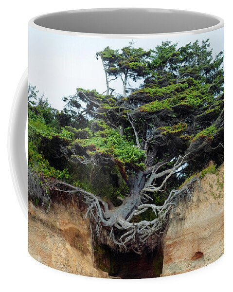 Tree Coffee Mug featuring the photograph Tree of Life by Kristine Anderson