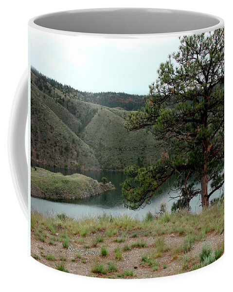 Tree Coffee Mug featuring the photograph Tree on Missouri River Bluff by Kae Cheatham