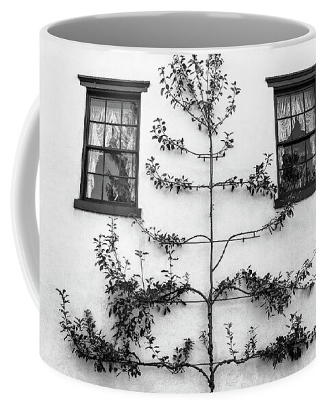 Architecture Coffee Mug featuring the photograph Tree Sculpture by Glenn DiPaola