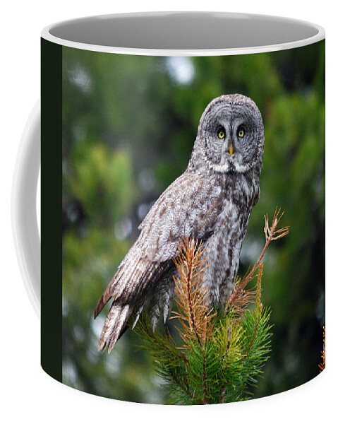 Great Coffee Mug featuring the photograph Tree Topper by Brad Christensen