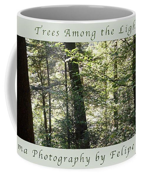 Bingham Falls Coffee Mug featuring the photograph Trees Among the Light Bingham Falls Vermont Panorama Poster by Felipe Adan Lerma