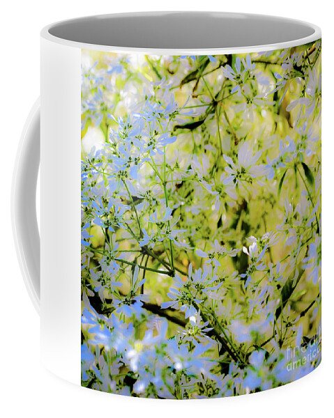 Plants Coffee Mug featuring the photograph Trees and Leaves by D Davila