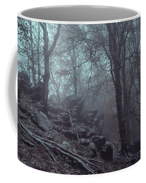 Jenny Rainbow Fine Art Photography Coffee Mug featuring the photograph Trees and Rocks in Misty Woods by Jenny Rainbow