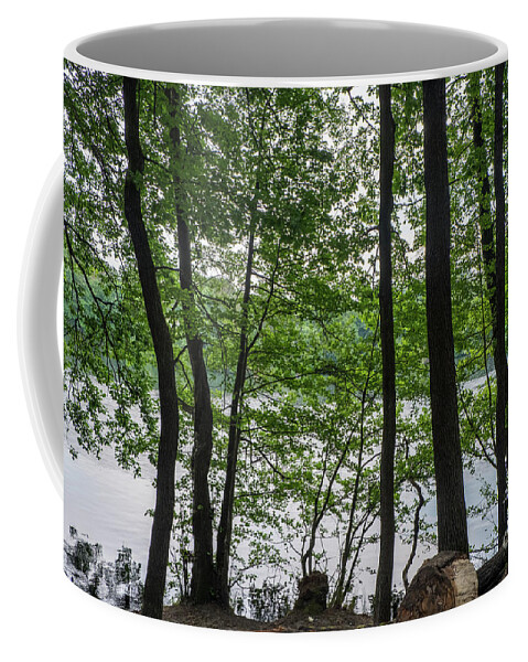Berlin Coffee Mug featuring the photograph Trees at Lake Schlachtensee by Jannis Werner
