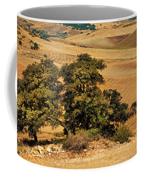 Jenny Rainbow Fine Art Photography Coffee Mug featuring the photograph Trees in the Fields. Andalusia by Jenny Rainbow