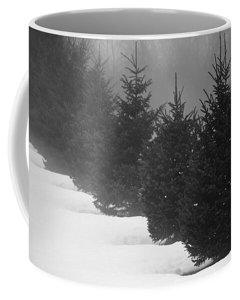 Evergreens Coffee Mug featuring the photograph Trees in the Fog by Cheryl Day