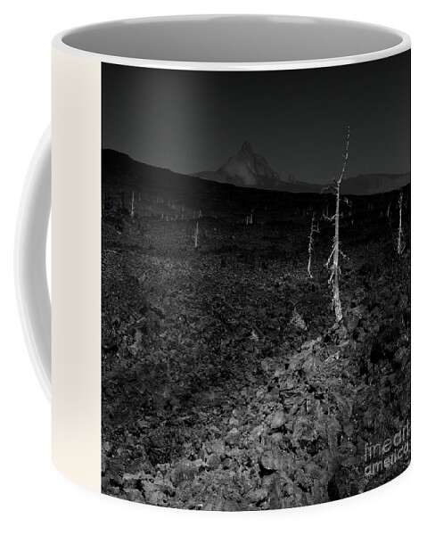 Trees Coffee Mug featuring the photograph Trees On The Lava Field by Masako Metz