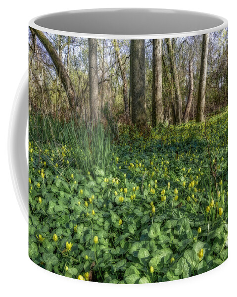 Area Coffee Mug featuring the photograph Trees by Peter Lakomy