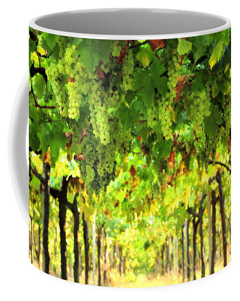 Vineyard Coffee Mug featuring the photograph Trellissed Grapes 3 by Angela Rath