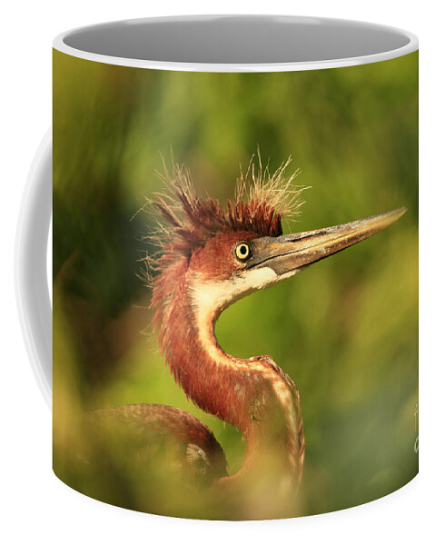 Green Coffee Mug featuring the photograph Tri-Colored Heron Youth by John F Tsumas