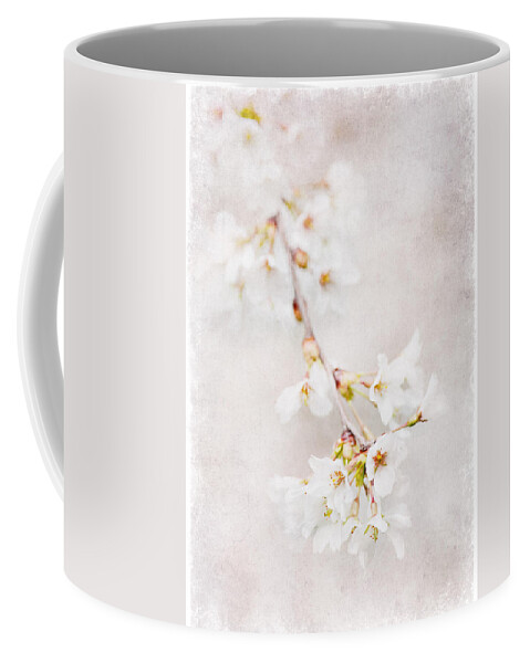 Flowers Coffee Mug featuring the photograph Triadelphia Cherry Blossoms by Jill Love