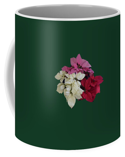  Coffee Mug featuring the photograph Tricolor Poinsettias transparent background  by R Allen Swezey