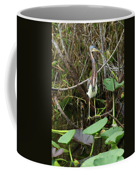 Tricolored Heron Coffee Mug featuring the photograph Tricolored Heron by Christiane Schulze Art And Photography