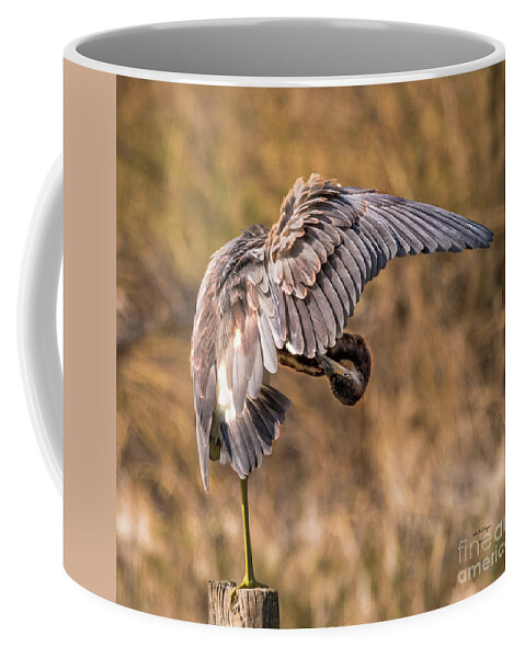 Nature Coffee Mug featuring the photograph Tricolored Heron On One Leg Preening - Egretta Tricolor by DB Hayes