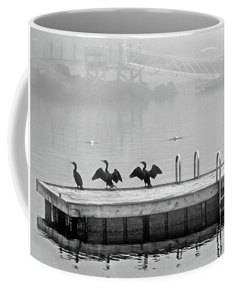 Birds Coffee Mug featuring the photograph Trio by Dianne Morgado