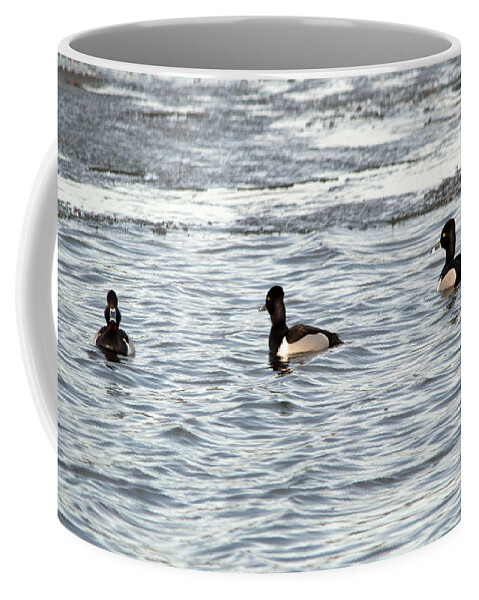 Duck Coffee Mug featuring the photograph Trio of Ducks by Linda Kerkau