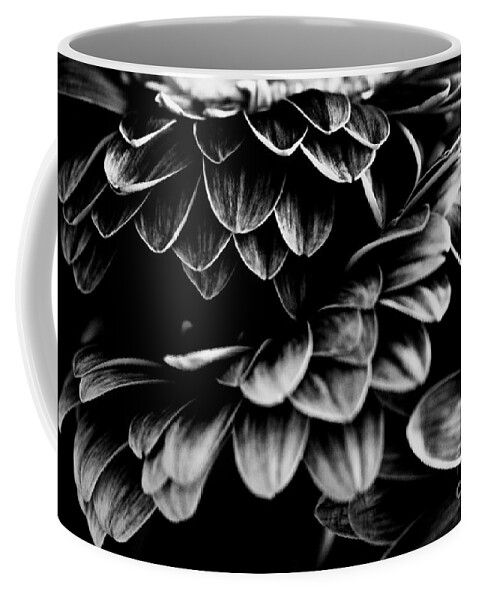 Gerbera Coffee Mug featuring the photograph Triple Decker by Clare Bevan