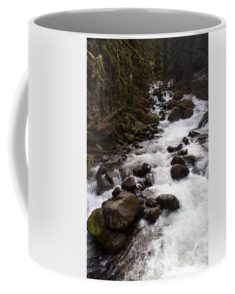 Triples Feed Coffee Mug featuring the photograph Triple's Feed by Dylan Punke