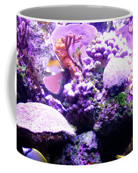 Aquarium Coffee Mug featuring the photograph Tropical Aquarium by Francesca Mackenney