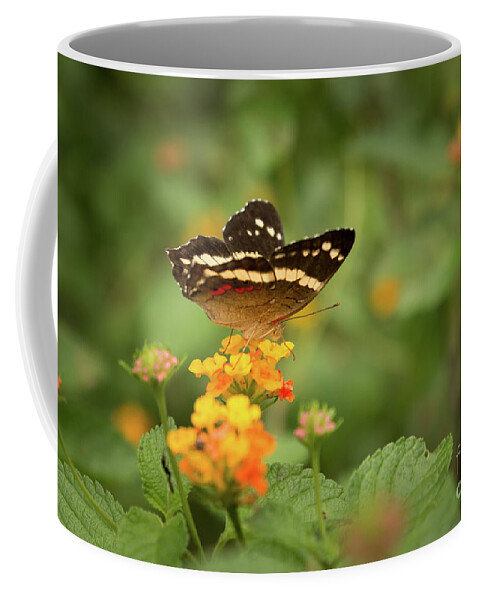 Butterfly Coffee Mug featuring the photograph Tropical Butterfly by Ana V Ramirez
