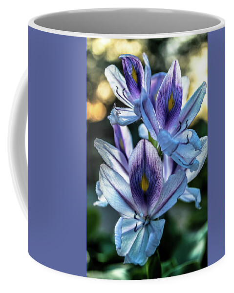 Lilies Coffee Mug featuring the photograph Tropical Oldies by Miguel Winterpacht