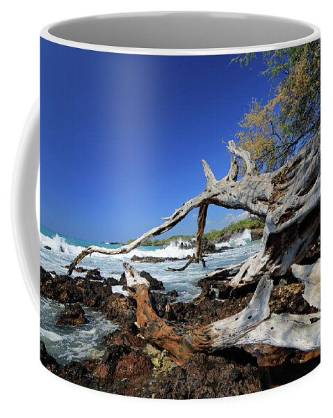 Landscape Coffee Mug featuring the photograph Tropically Weathered III by Mary Haber