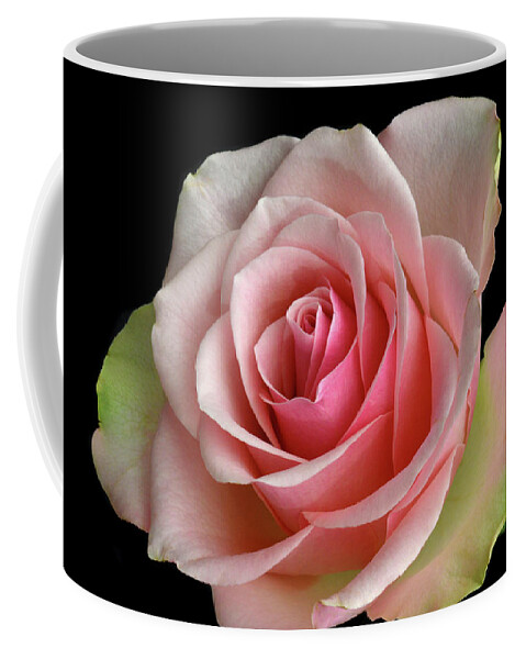 Rose Coffee Mug featuring the photograph True Colours. by Terence Davis