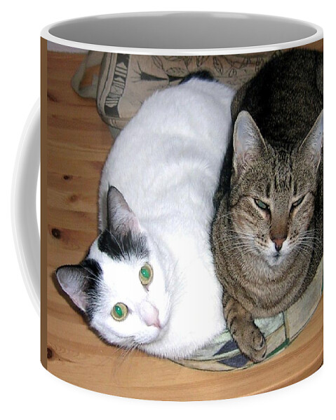 Cat Coffee Mug featuring the photograph True Love by Valerie Ornstein