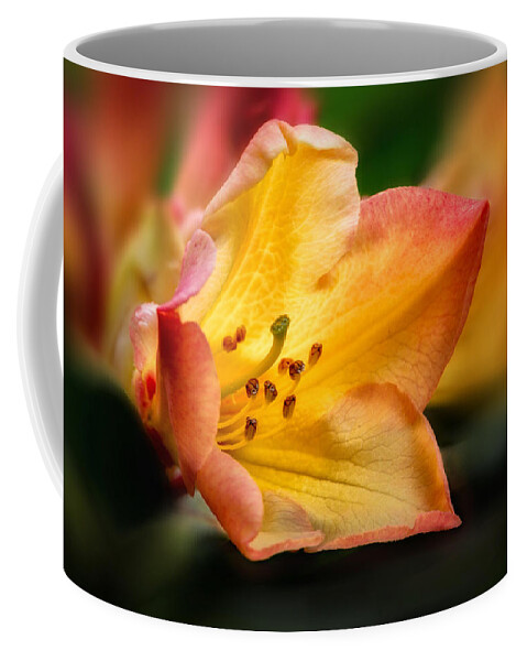 Rhododendron Coffee Mug featuring the photograph Trumpet of Spring by Mary Jo Allen
