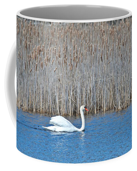 Swan Coffee Mug featuring the photograph Trumpeter Swan 0967 by Michael Peychich