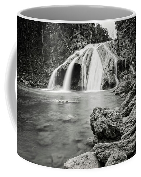 Nature Coffee Mug featuring the photograph Truner Falls XXXI by Ricky Barnard