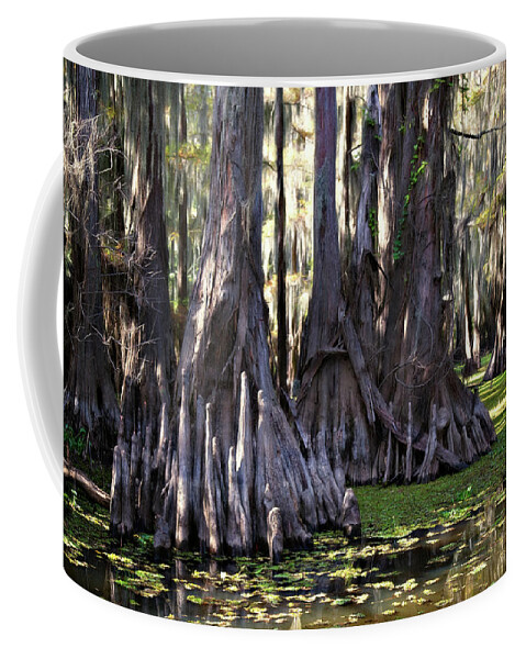 ald Cypress Coffee Mug featuring the photograph Trunks by Lana Trussell