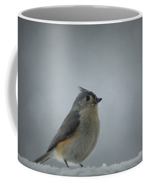 Snow Coffee Mug featuring the photograph Tufted Titmouse in the Snow by Cricket Hackmann