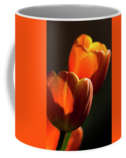 Tulips Coffee Mug featuring the photograph Tulip Afternoon by Michael Hope