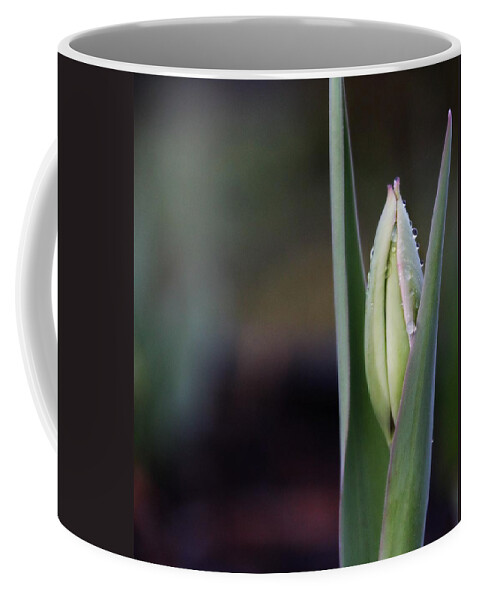 Nature Coffee Mug featuring the photograph Tulip Bud by KATIE Vigil