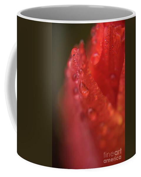 Tulip Coffee Mug featuring the photograph Tulip-droplets-1843 by Steve Somerville
