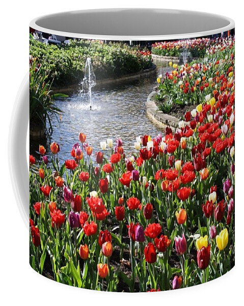 Bowral Tulip Festival Coffee Mug featuring the photograph Tulip Festival by Bev Conover