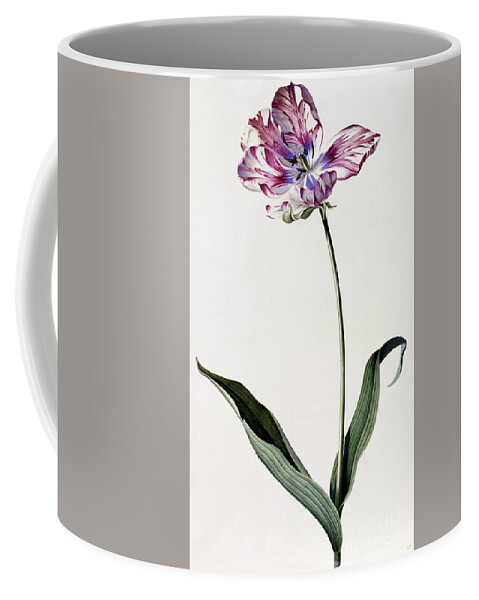 Ehret Coffee Mug featuring the painting Tulip by Georg Dionysius Ehret