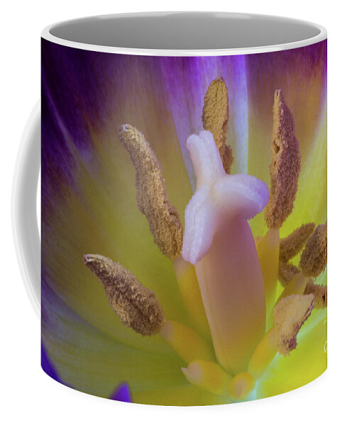 Rainbow Tulips Coffee Mug featuring the photograph Tulip Macro by Steve Purnell
