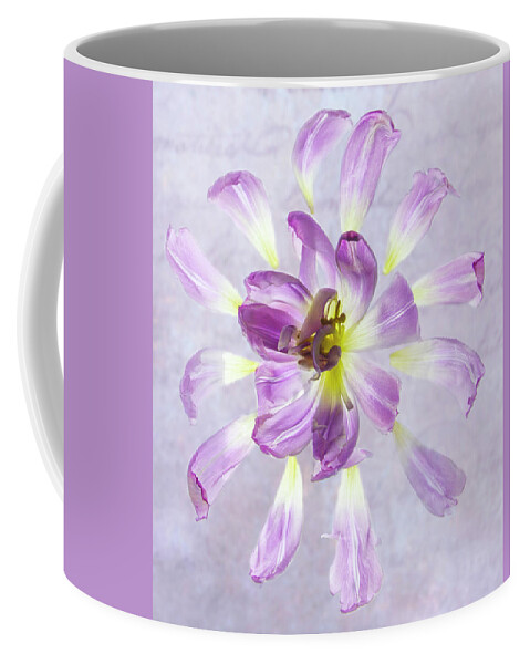 Tulip Coffee Mug featuring the photograph Tulip Patterns by Diane Fifield