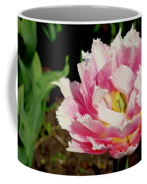 Tulip Coffee Mug featuring the photograph Tulip by Sarah Lilja