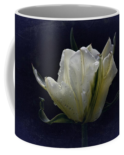 Tulip Coffee Mug featuring the photograph Tulip Tears by Richard Cummings