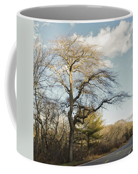 Cape Cod Coffee Mug featuring the photograph Tupelo Tree by Frank Winters