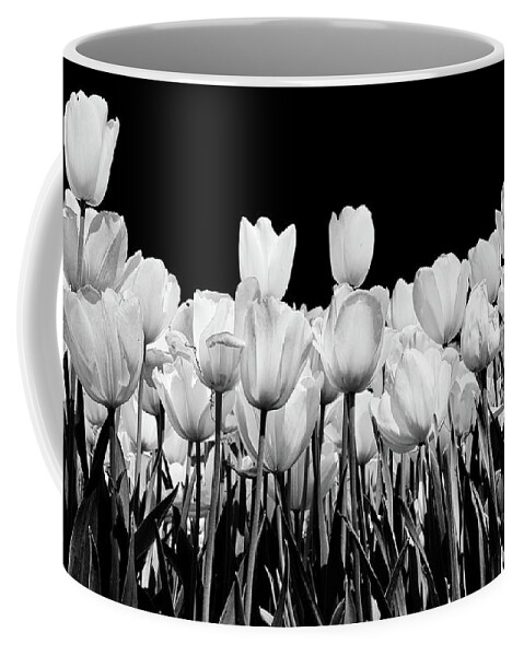 Tulips Coffee Mug featuring the photograph tulips in Black and white by John Babis